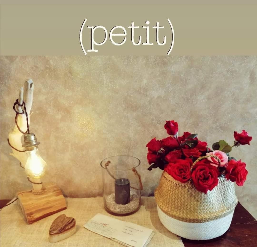 Hotel Petit Silvi Marina Buitenkant foto